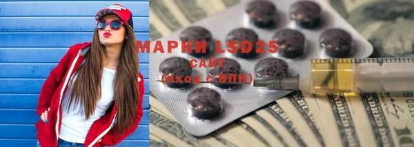 apvp Алексин