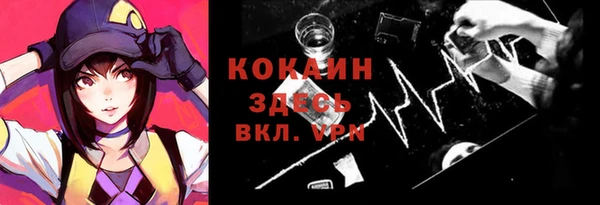 apvp Алексин