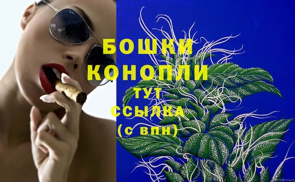 стаф Рославль