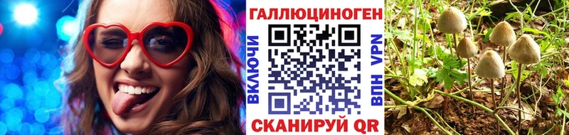 Галлюциногенные грибы Psilocybine cubensis MEGA ТОР Порхов